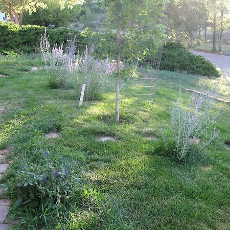 Mystic Portal 420 Guesthouse Colorado Springs Exterior photo