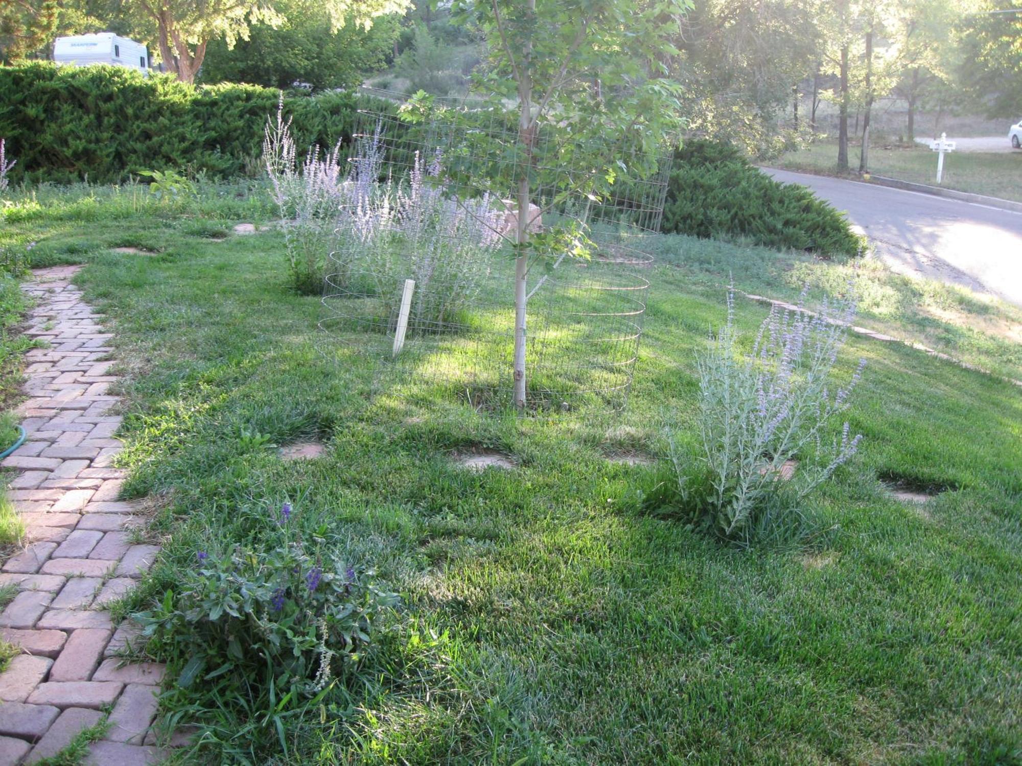 Mystic Portal 420 Guesthouse Colorado Springs Exterior photo